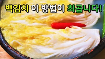 백김치 맛있게 담는법 백김치가 시원하게 대박 맛있는 황금 레시피 공개