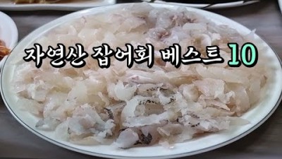 강원도 동해시 묵호항 자연산 잡어회 맛집 가볼만한곳 추천
