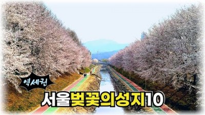 서울 벚꽃의 명소 베스트10 벛꽃의 성지 가볼만한곳 추천
